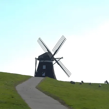 Rosenwarft