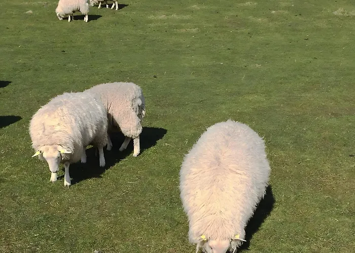 Rosenwarft Lägenhet *